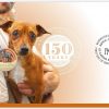2021 RSPCA Dog PNC - Image 2