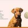 2021 RSPCA Dog PNC - Image 3
