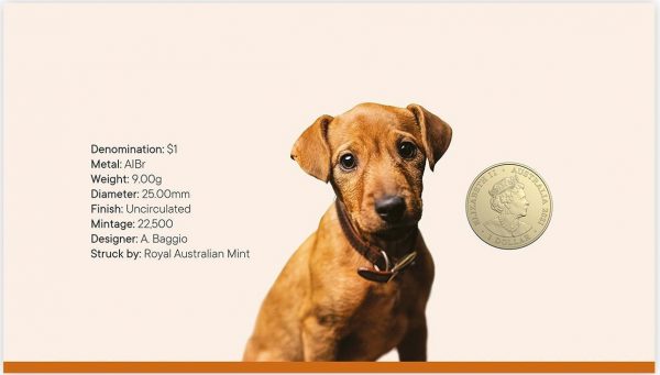 2021 RSPCA Dog PNC - Image 3