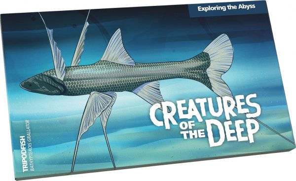 2023 $1 Creatures Of The Deep Mintmark and Privy Mark UNC 4 Coin Set - Image 7