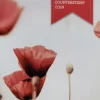 2015 $2 Lest We Forget Counterstamp Poppy Coin War Graves UNC In Card -Last One! - Image 4