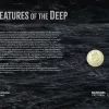 2023 $1 Creatures of the Deep Impressions Larger PNC Limited Edition 309/500 - Image 2